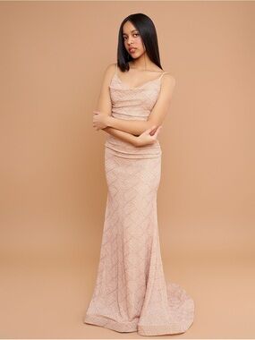 Windsor Blush Nude Lace Maxi Dress